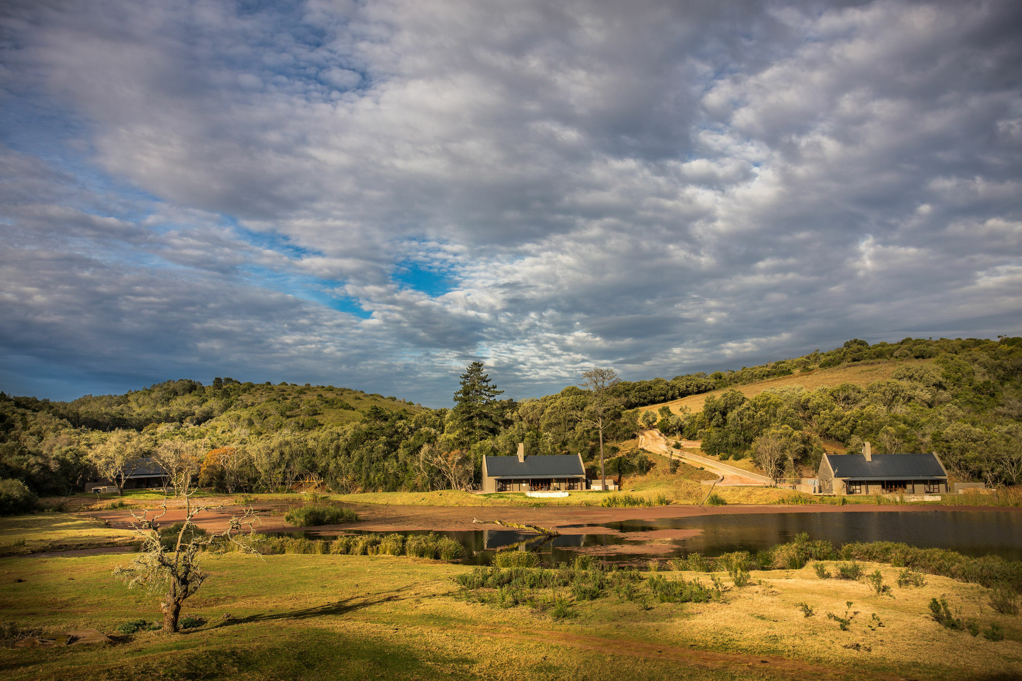 Botlierskop Bush Villas Sandhoogte Exteriér fotografie